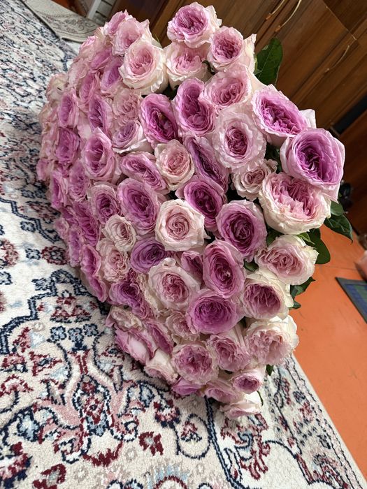 101 штук,необычная Роза,