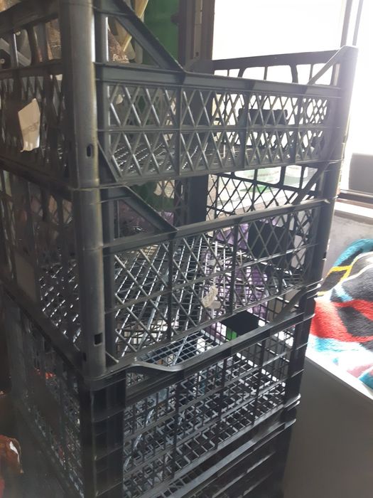 Vand ladite pt fructe