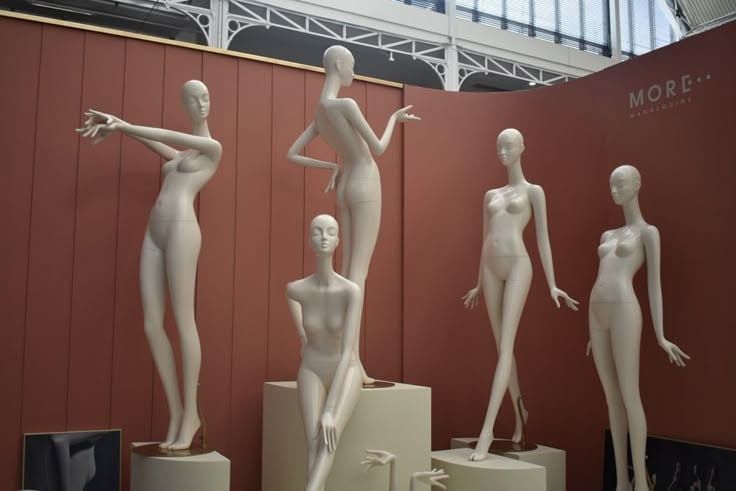 Manechine si busturi