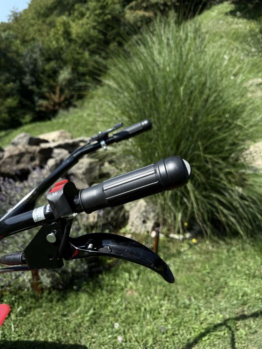 Motosapa semiprofesionala Ruris Zimbru 6000