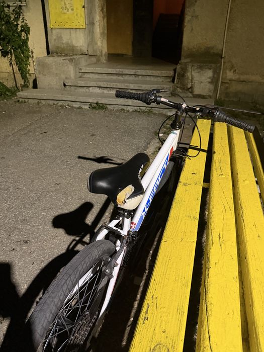 Bicicletă rookie 20