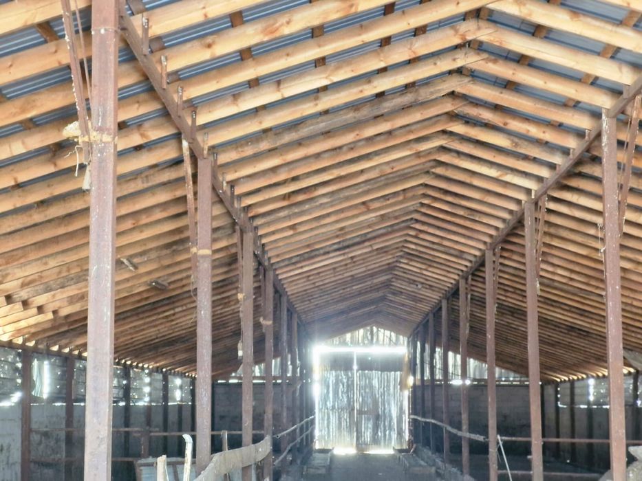 Готовый завод шампиньонов 6000соток