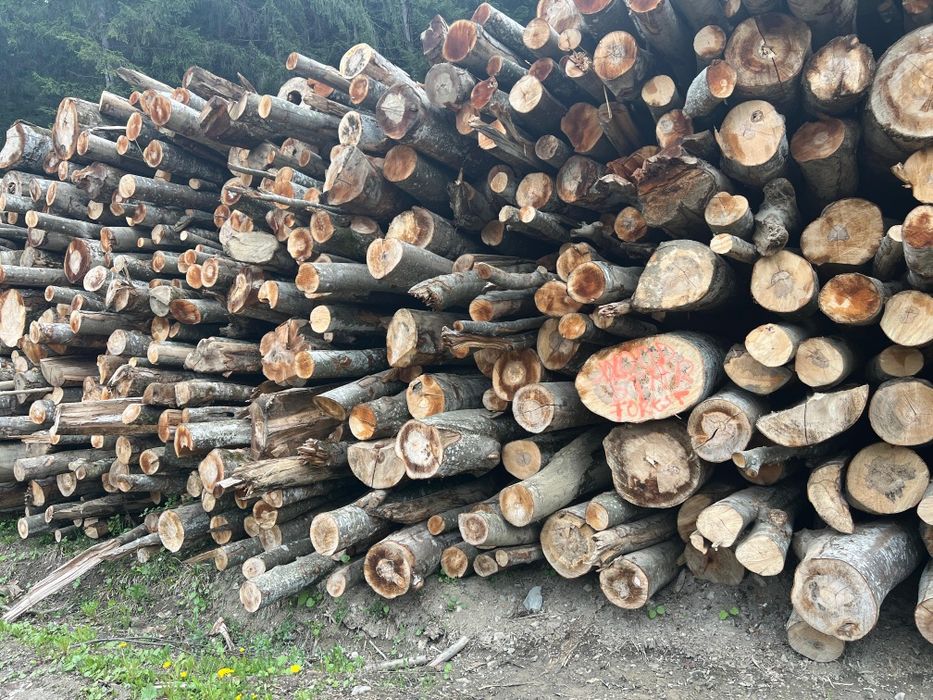 Lemn de foc fag si diverse tari