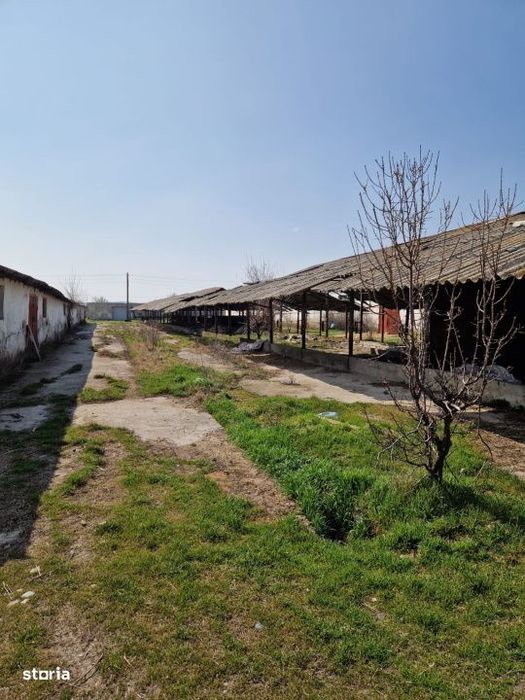 Ferma de vanzare 8 ha – Bals, judetul Olt