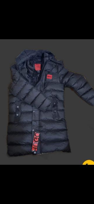 Gegi bărbătești Hugo