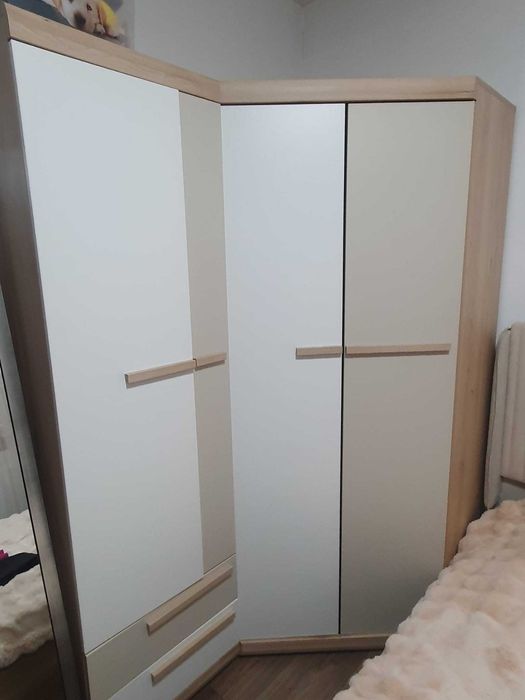 Dressing coltar Mobexpert