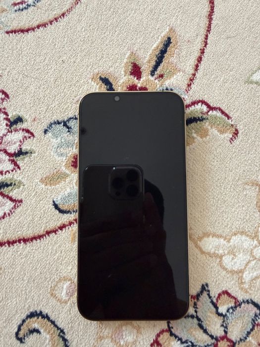 iphone 13 pro шыттай