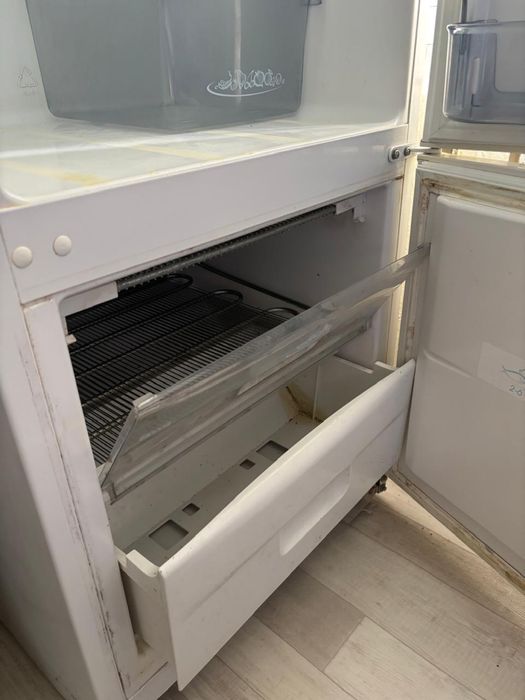 Холодильник snaige