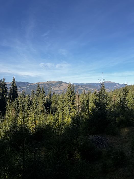 Teren la munte in Saru Dornei