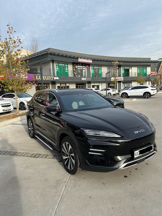 Byd chempion 2024 yil