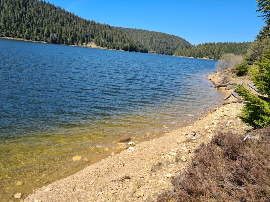 De vinzare teren în comuna Beliș, sat Giurcuța de Jos, județul Cluj