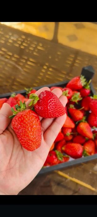 Продаётся уютный дом