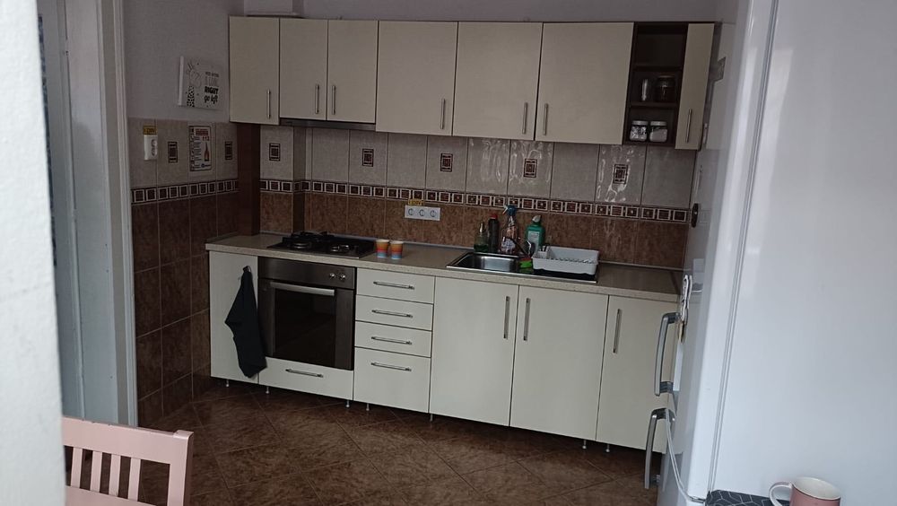 Vand casă Timișoara