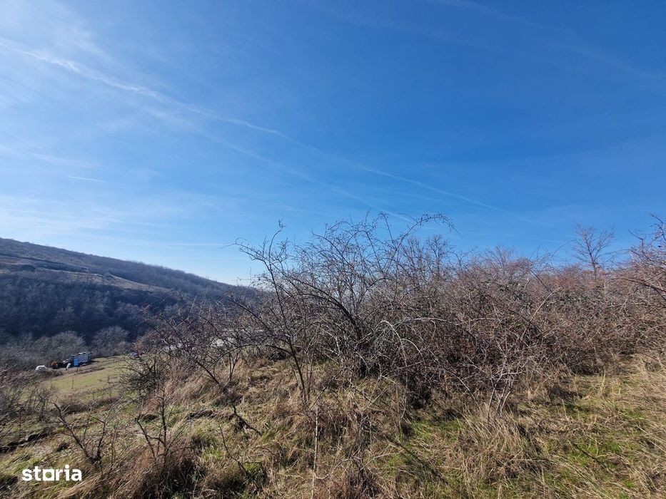 Teren extravilan, 23 400 mp, Cuvin (Ghioroc)