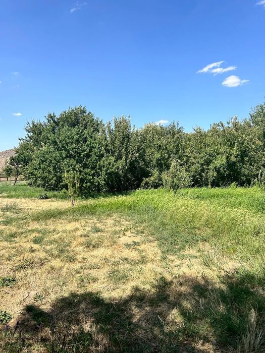 Продается кошара/Фазенда, мал қора