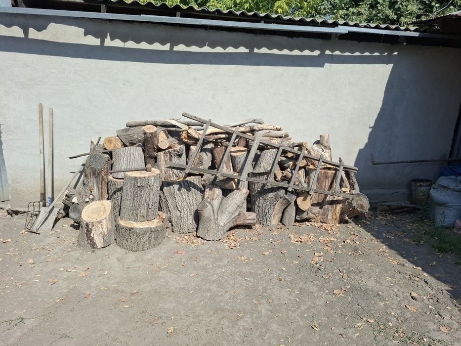 Дрова бесплатно!