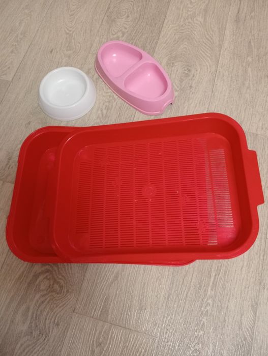 Продам кошачий набор