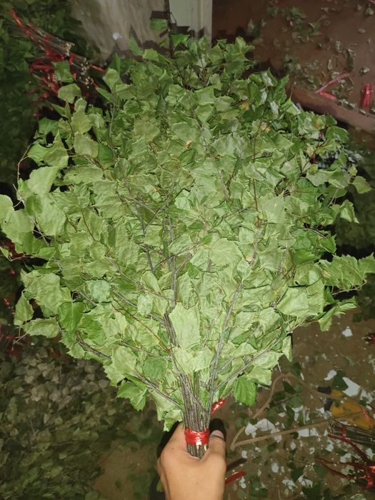 Продам    веники