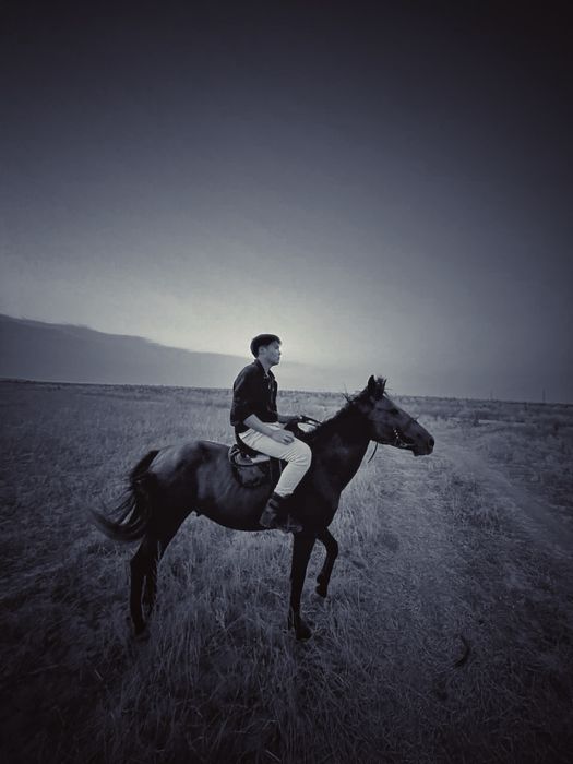 жылқы дөнен