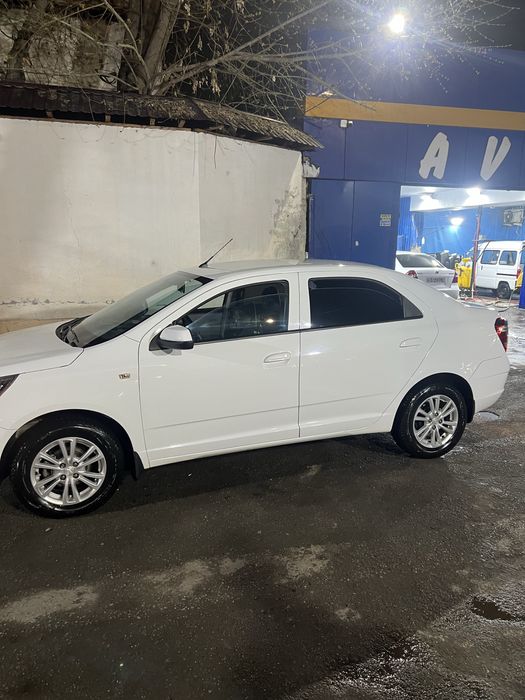 Cobalt LTZ 2022 ideal