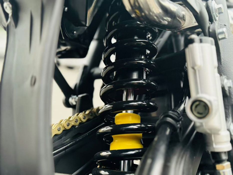 S009 эндуро 300 куб