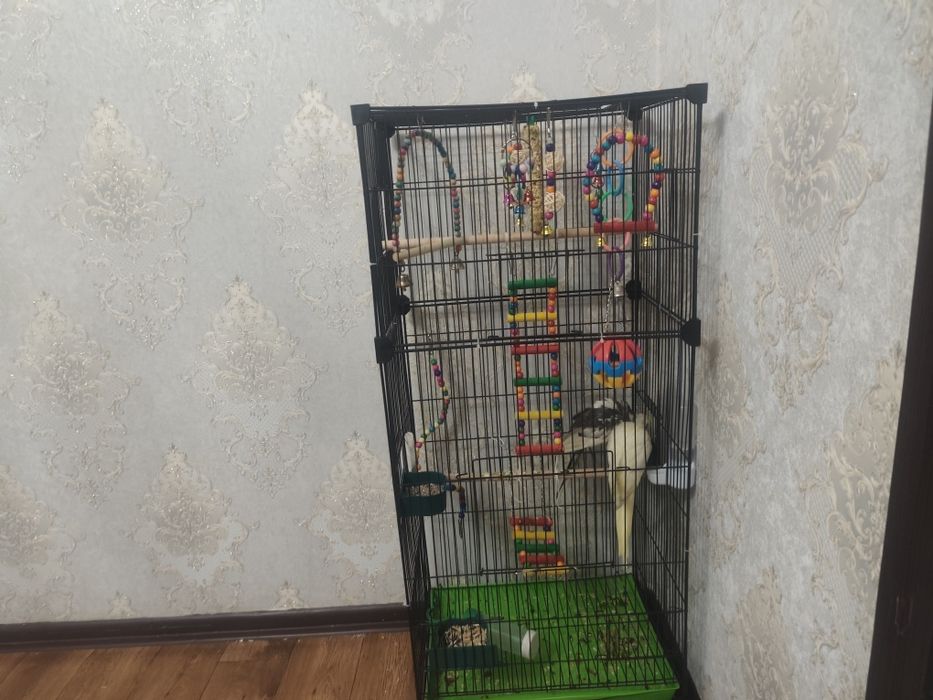 Продам клетку игрушками