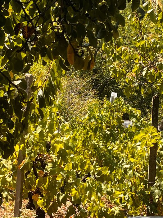 Продава се Къща в Оряхово - 89 кв.м за 201 €/кв.м - Снимка #7