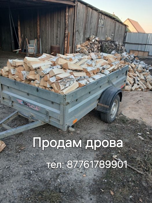 Продам дрова береза