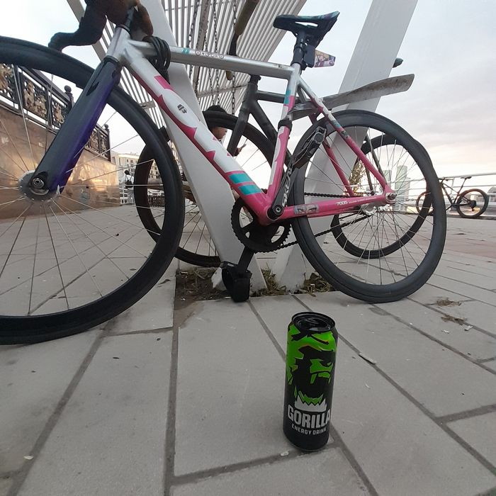 Велосипед фикс low2