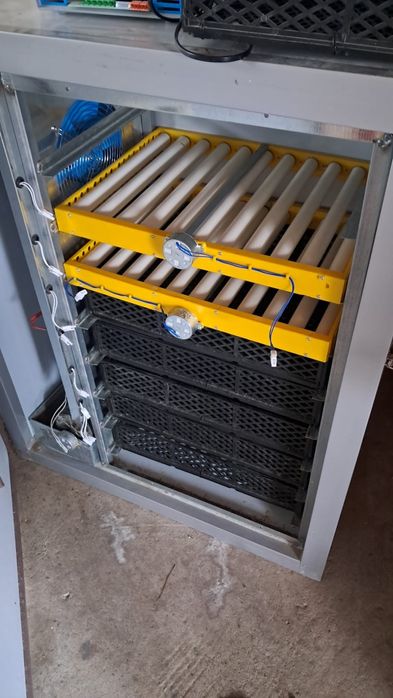 Incubator oua 500buc