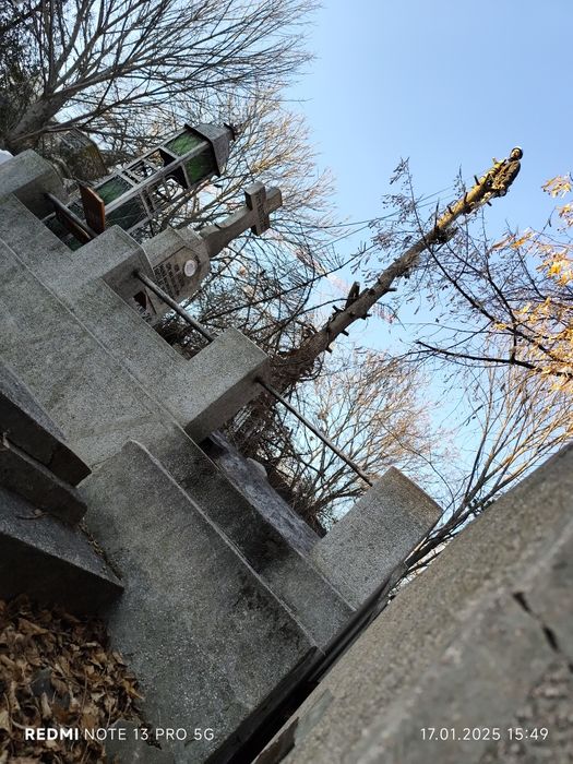 Tăiere copaci 24/7 alpinist utilitar bucurești si zonele limitrofe