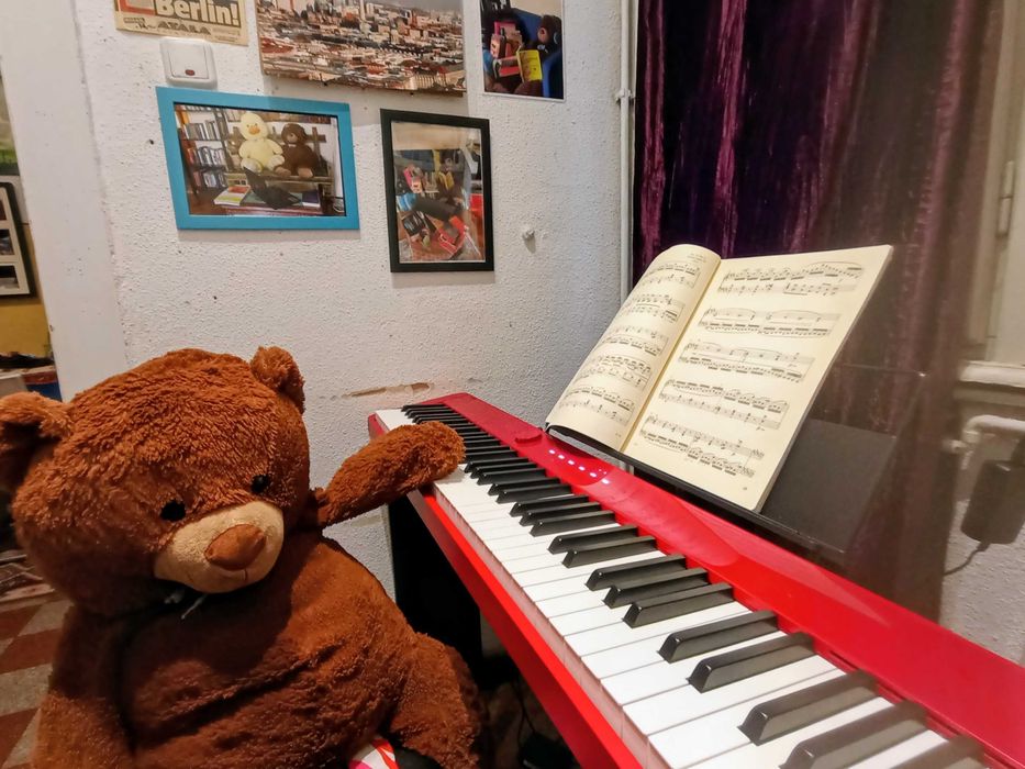 Meditatii lectii pian, zona centrala