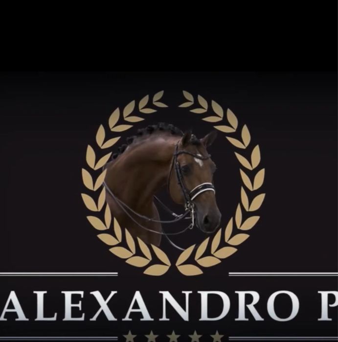 Vand  KWPN fiu AlexandroP