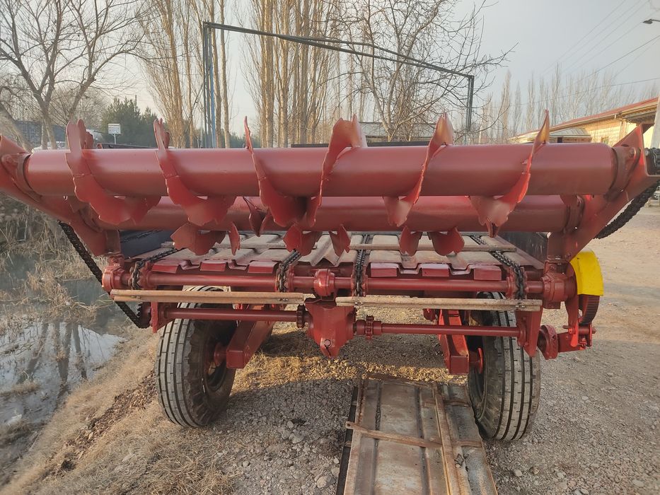 góng sepadigan sotiladi