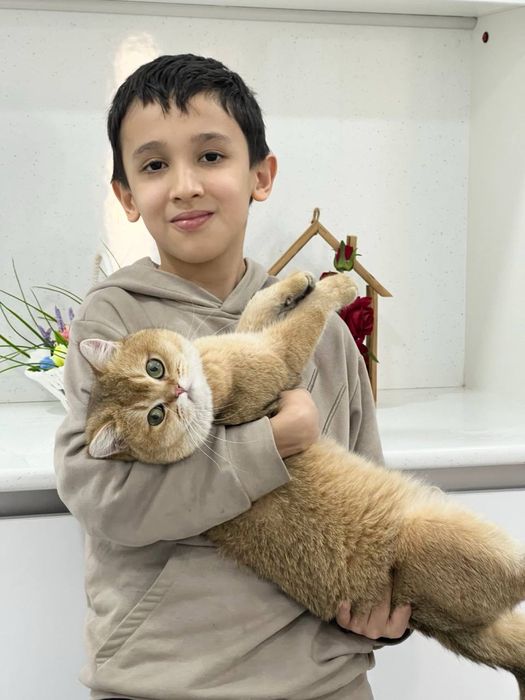 Опытный развязанный британец, приглашает на вязку