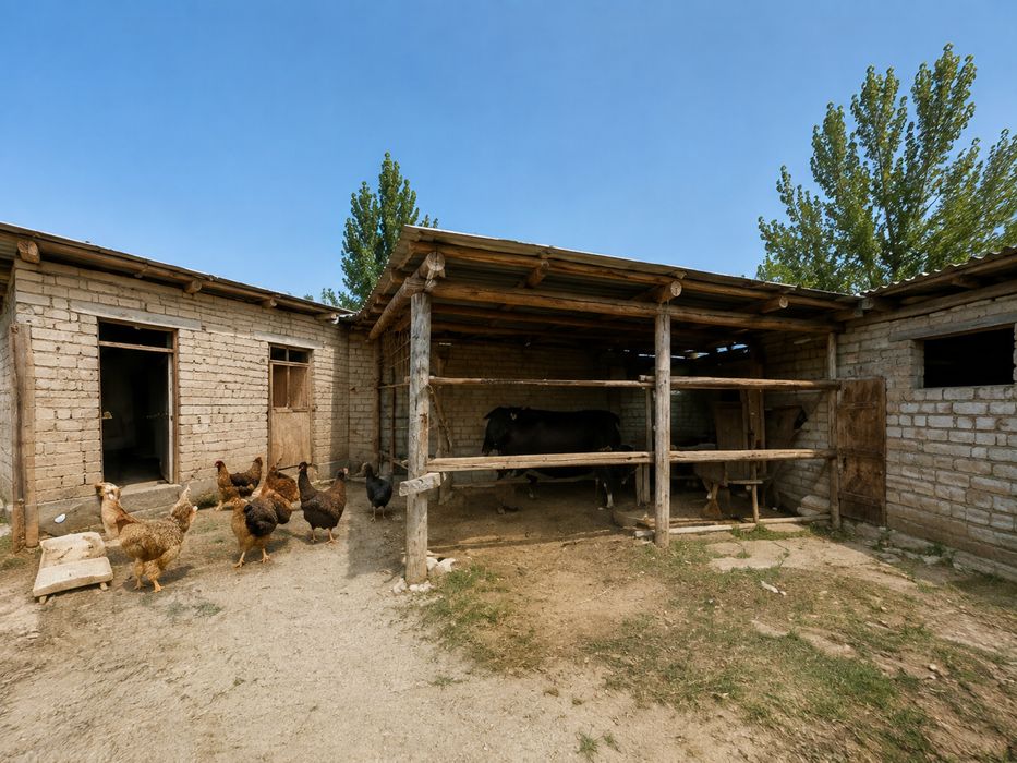 Yangiyer shahrida dala hovli sotiladi