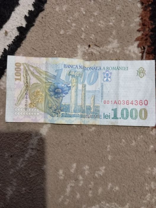 Bagnota 1000 lei