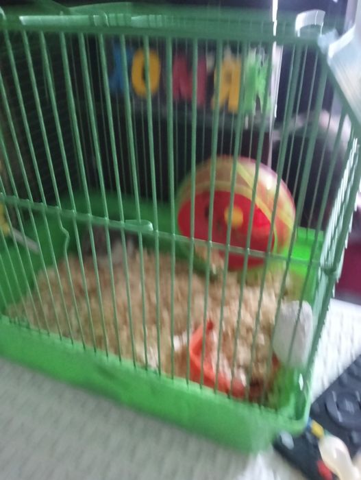 Продам клетку для хомяка с кормом и опилкой