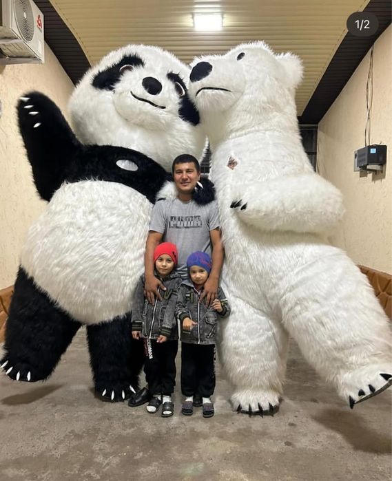 Аниматоры и Оформление