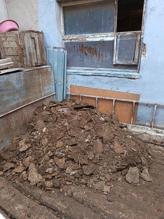 көң бар тегін беремін