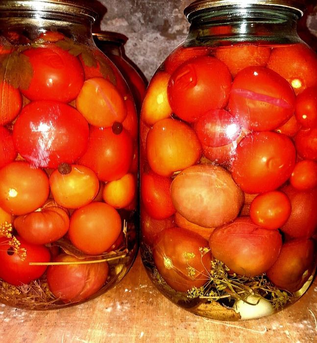 Соленья этого года