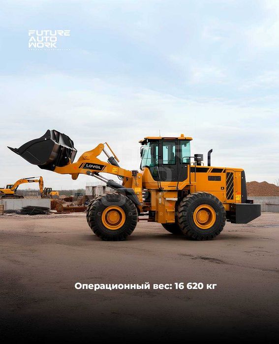 30 ой насияга LOVOL FL955F-II погрузчик