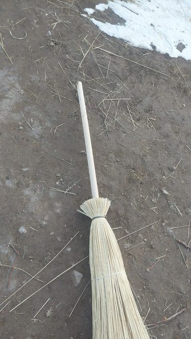 Метла чий (сорго)