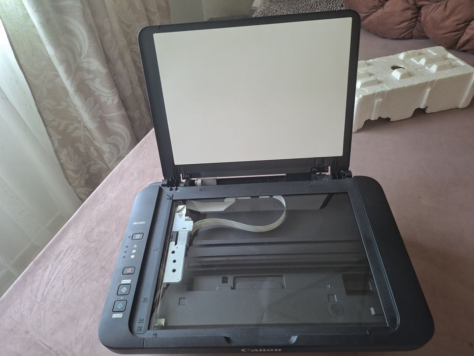 Imprimanta Canon Pixma MG2550S