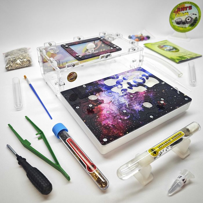 ГИПСОВЫЙ Формикарий "ADVANCED" ||| Муравьиная ферма - Муравьи жнецы