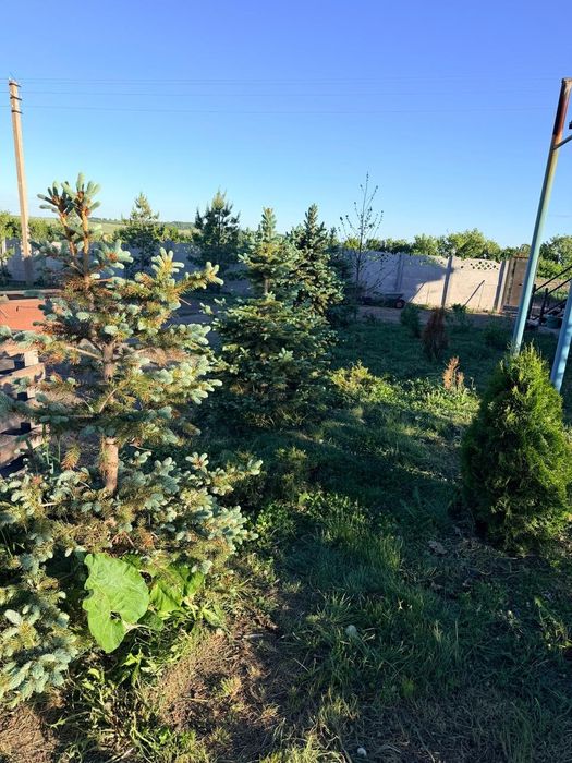 Продам большой  дом