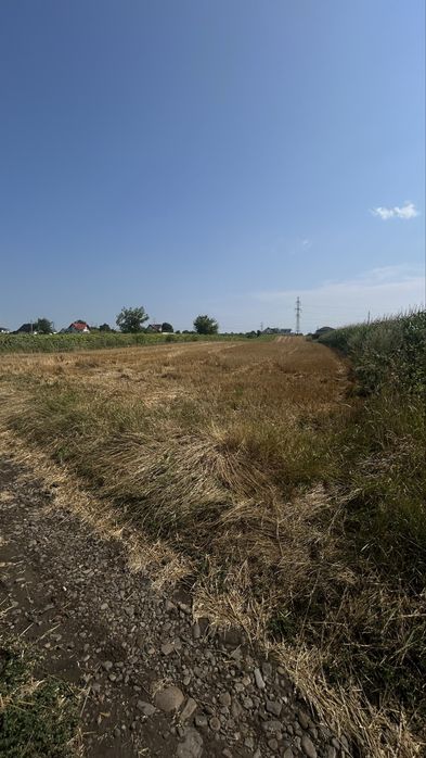 Teren parcelat in Ipotesti 4 parcele