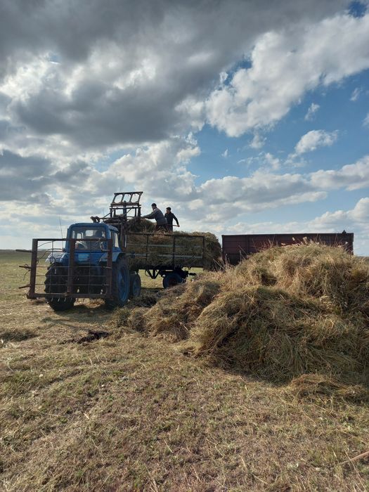 Трактор Мтз 80 сатылады в комплекте!
