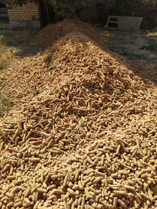 Oʻtin oʻtin Makkajoʻxori pangʻalogʻi oʻtini sotiladi