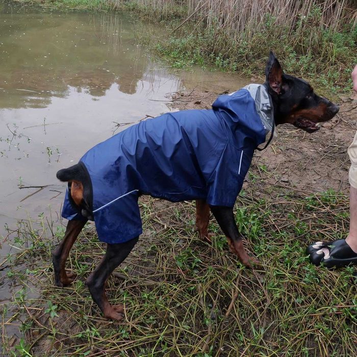 Пълно покритие Водоустойчив дъждобран за кучета, тъмносин 4XL